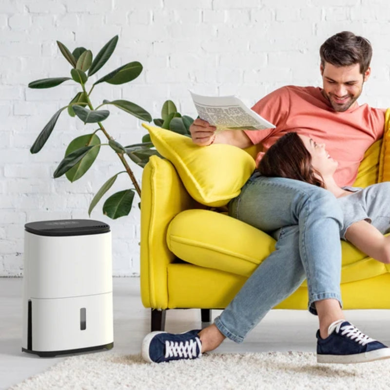 MeacoDry Arete® One 12L Dehumidifier / Air Purifier