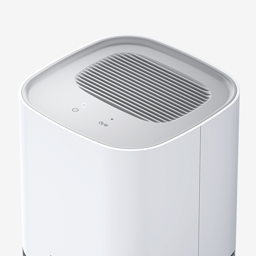 1000ml Dehumidifier with 4-hour Timer and LED Light